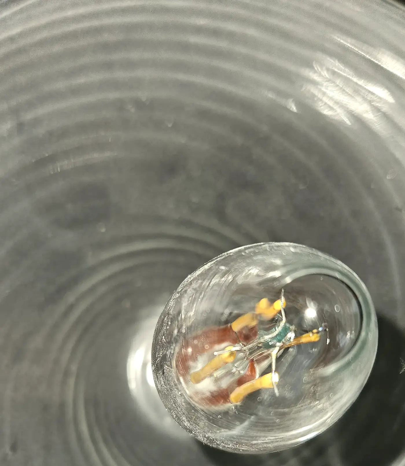 Angled close view of a filament bulb inside a ribbed hand-blown glass shade